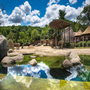Cleveland Metropark Zoo