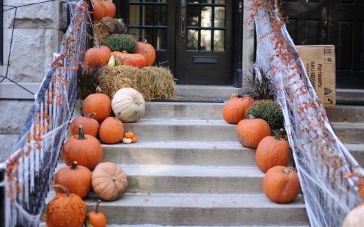 Pumpkin For Your Fall Decor