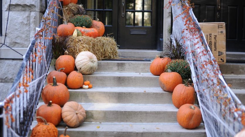 Pumpkin For Your Fall Decor