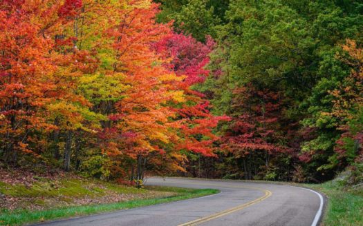 Where To See The Best Colors Of Autumn In Cleveland