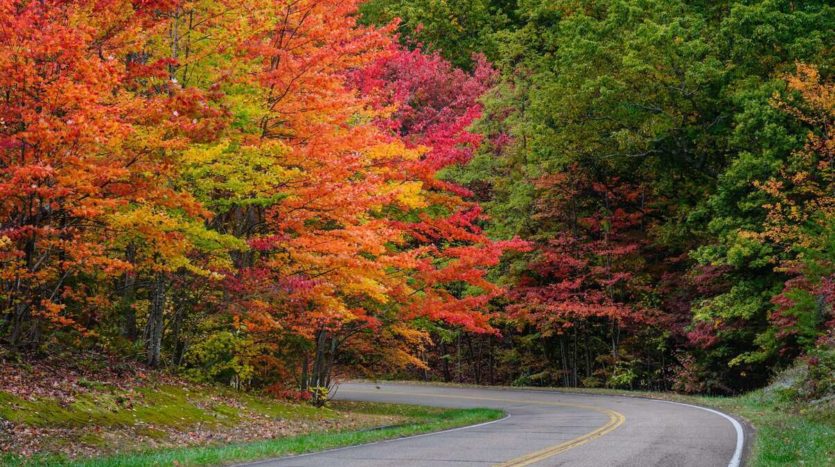 Where To See The Best Colors Of Autumn In Cleveland