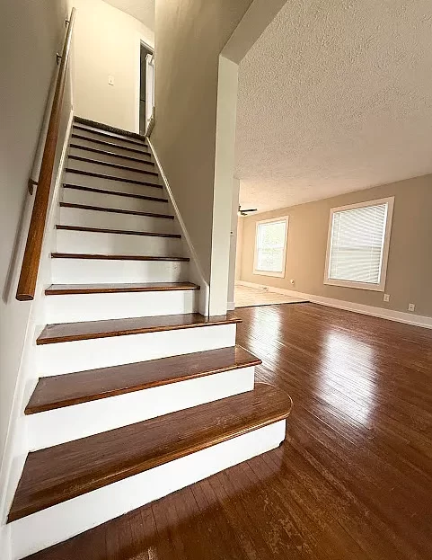 video image